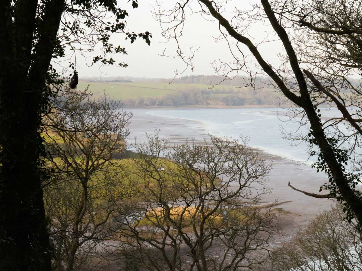 How did we get here? 